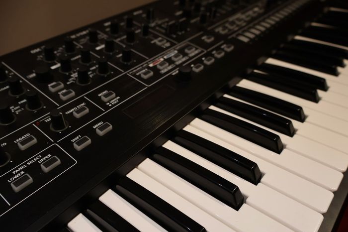 Roland - SYSTEM-8 | PLUG-OUT Synthesizer [+ extras]