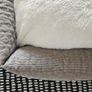 Pet bed Image 3