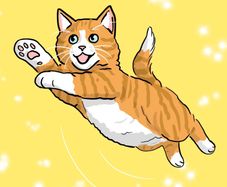 Digital Pet Portraits from your photographs!