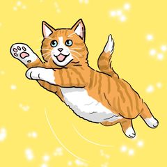 Digital Pet Portraits from your photographs!