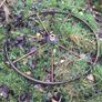 Vintage horse cart wheel Image 2