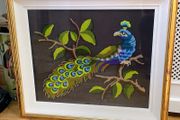 Framed Peacock