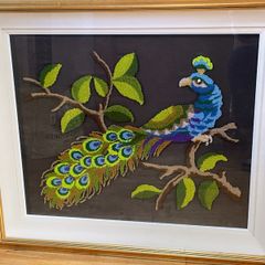Framed Peacock