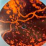 Oranssi Pazuzu - Varahtelija Image 5