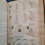 The Modern University Encyclopaedia  1957 LARGE VOLUME BOOK. Image 6