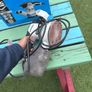 orbital sander Image 3
