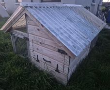Chicken Coop, Rabbit Hutch