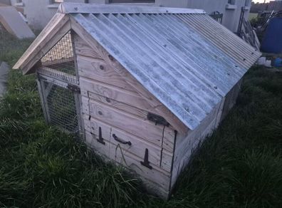 Chicken Coop, Rabbit Hutch