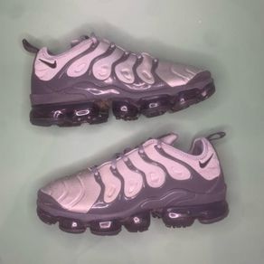 Nike Air Vapormax TN Wolf Grey