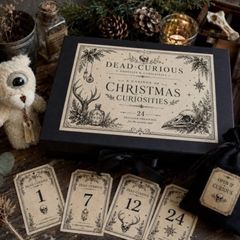 Dead Curios Oddities 24 Piece Advent Calendars