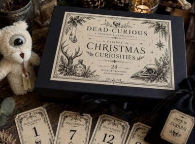 Dead Curios Oddities 24 Piece Advent Calendars