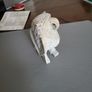 Owl stone carving Image 3