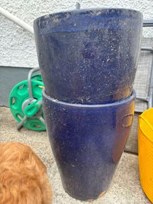flower pot