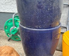 flower pot