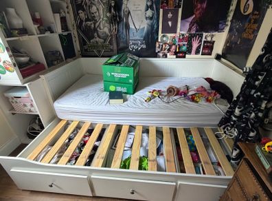 pull out bed