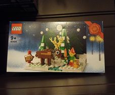 Lego 40484 Santa's Front Yard