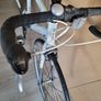 ladies Specialized road bike Image 2