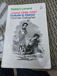 Ireland 1846-1847. Prelude To Hatred. By Thomas Gallagher. Paperback In Good Condition.  See Photos For Same.