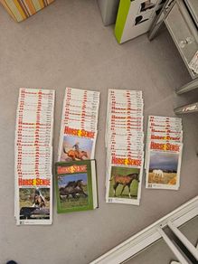Horse Sense Magazine Collection (1980s) - Nearly Complete + Binder