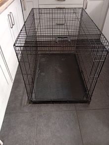 xl dog crate