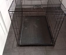 xl dog crate