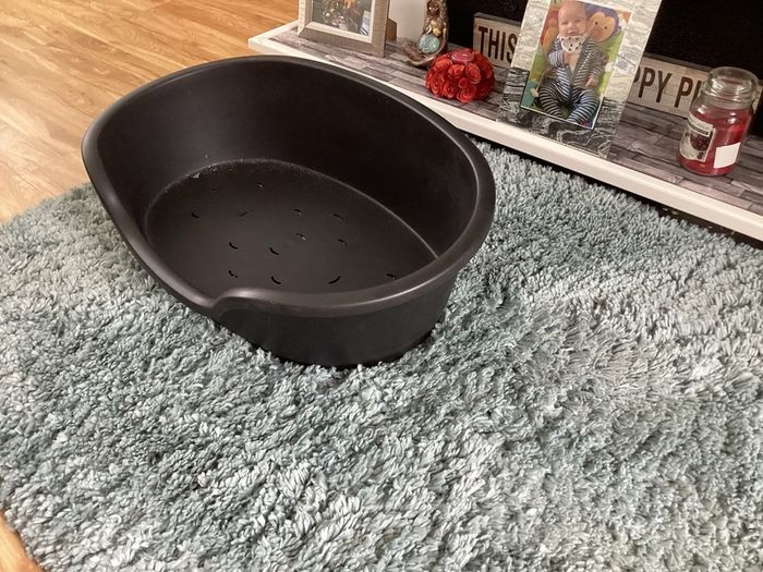 dog bed