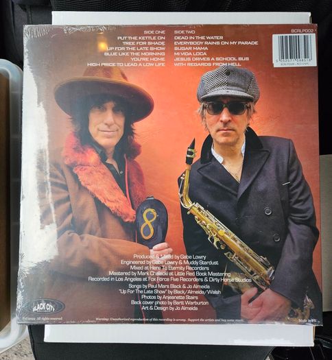 Sonic Boom "Everybody Rains On My Parade" Vinyl Album