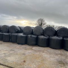 Silage