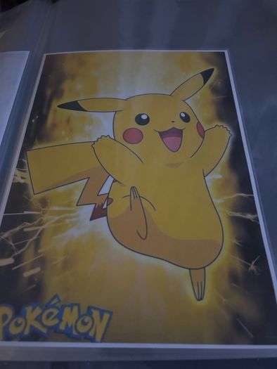 Pokemon poster