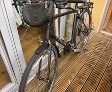Trek FX 1