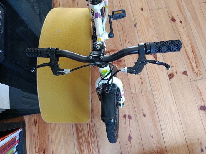 Frog bike 48