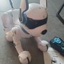 Ziggy dog robot Image 2