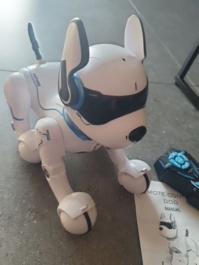 Ziggy dog robot