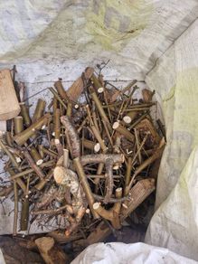 Firewood
