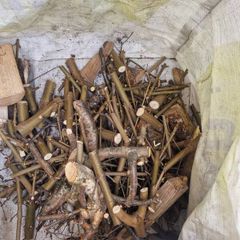 Firewood