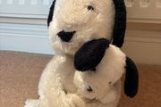 teddy