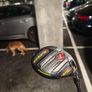 Cobra Speedzone 3 Wood X Flex Image 5