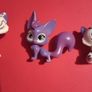 shimer and shine pets Image 3