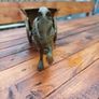 Antique Heavy Brass Horse & Cart Image 7