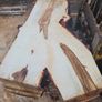 Hardwood timber Image 8