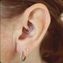 Mini Skull Stud Earrings Image 8