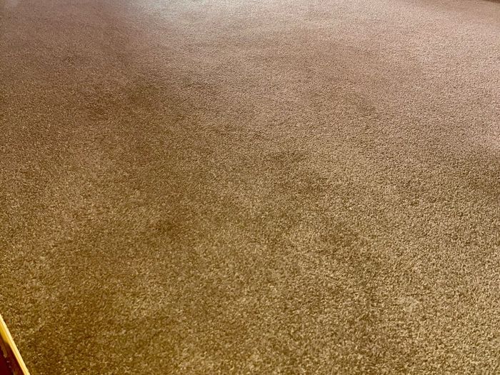 Large Brown felt back carpet