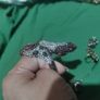 Turkish bracelet and ring set Image 3