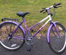 Female Type Tourer Bicycle