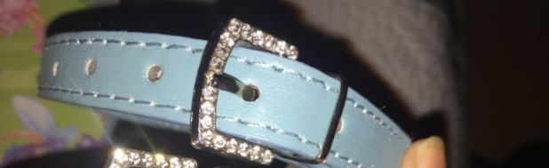New Dog dimante collars