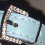 New Dog dimante collars Image 6
