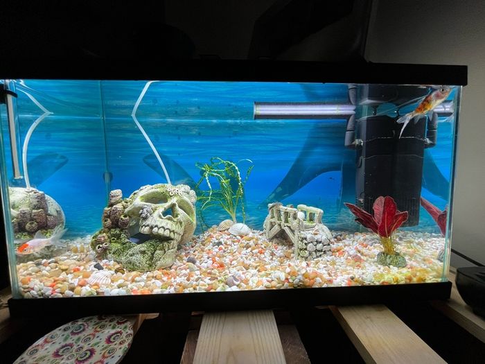 60 litres