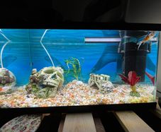 60 litres