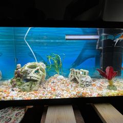 60 litres