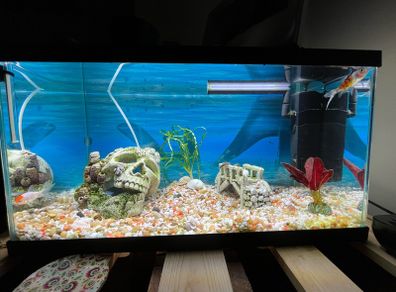 60 litres